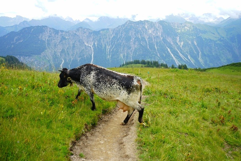 Ferienspaß im Allgäu